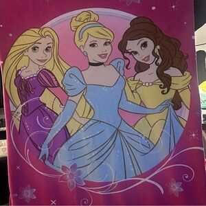 Y2K Disney Princess Pink and Blue Blanket